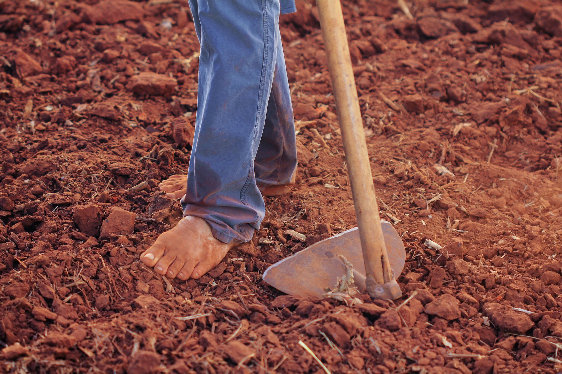 person plowing soil